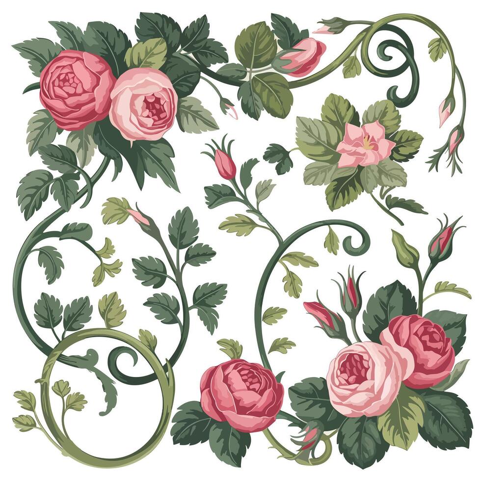 Elegance in Bloom Floral Design Collection vector