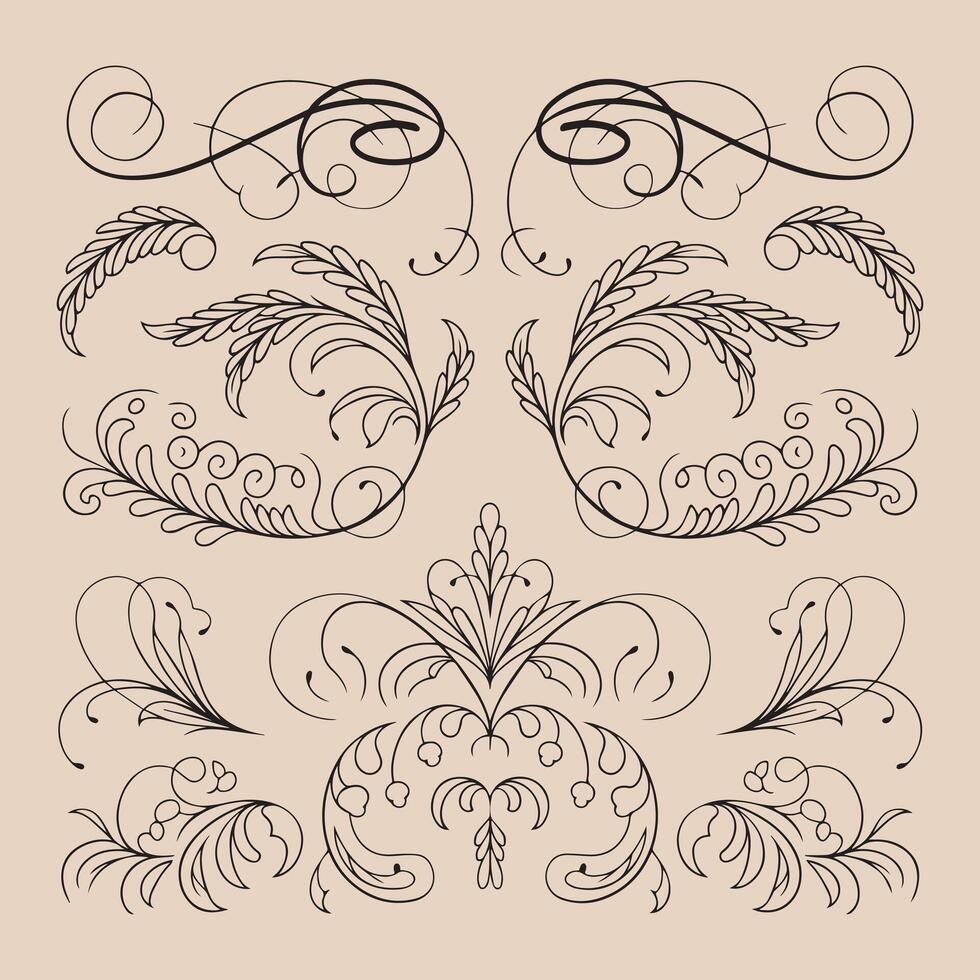 a set of ornaments designs vector