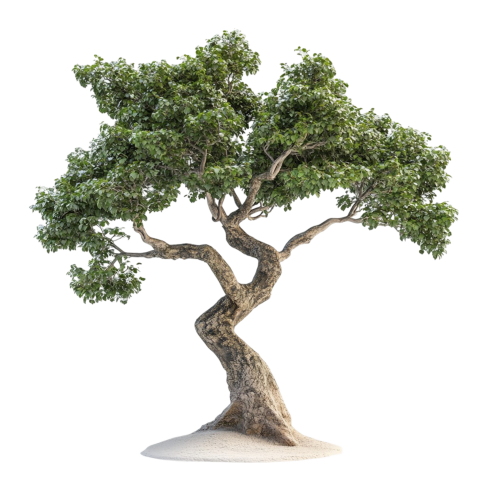 Tree on Transparent Background AI-Generative png