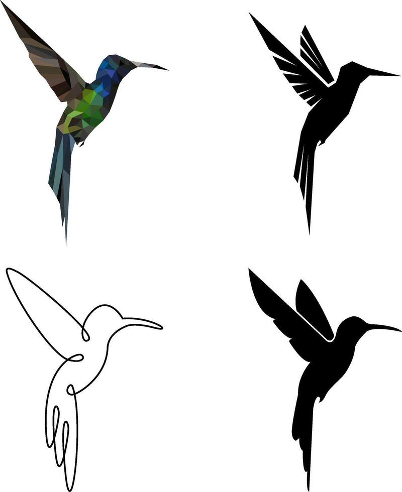 Colibri illustration with several styles vector