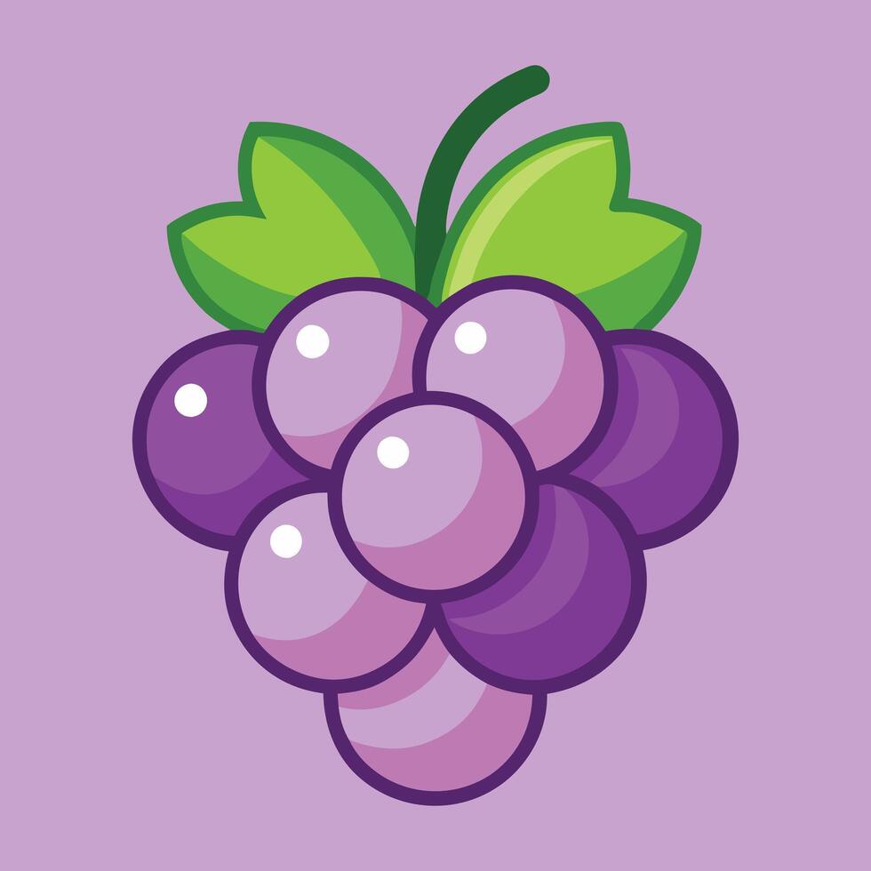 Grapes with Vine vector
