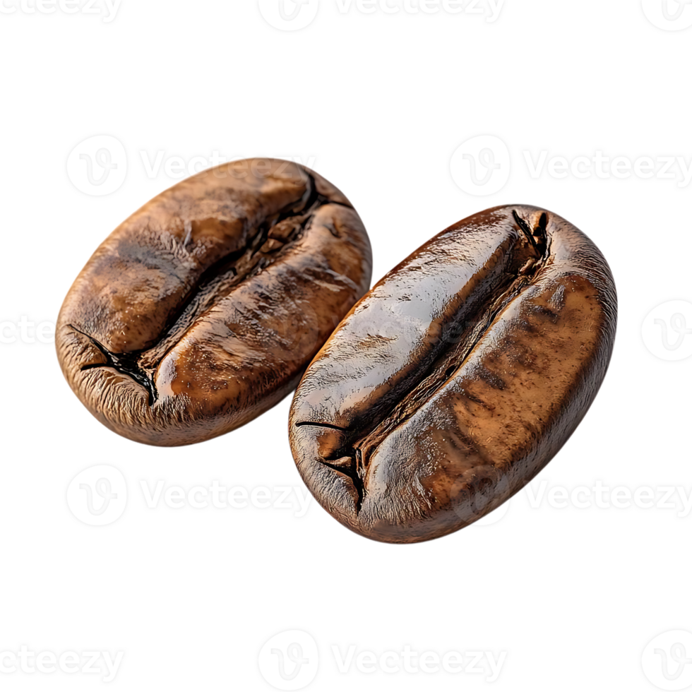 Two Roasted Coffee Beans with a Transparent Background png