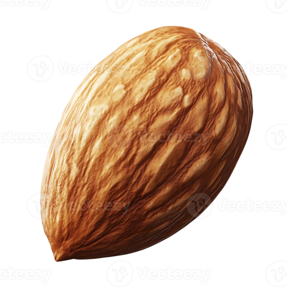 Single Almond Nut Isolated on Transparent Background, Brown, Close Up, Healthy, Dietary, Food, Nutrition, Snack png