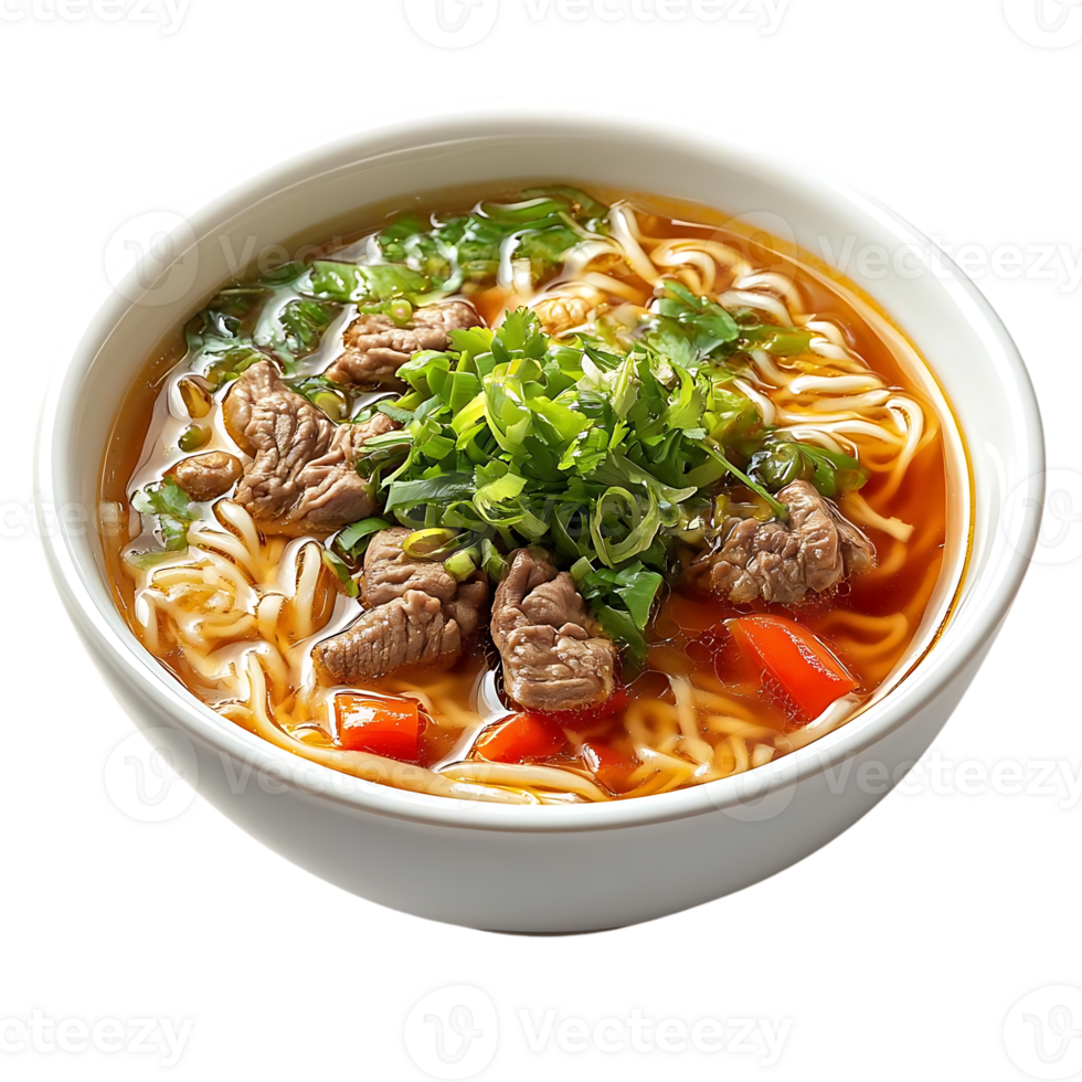 Beef Noodle Soup with Green Onions and Transparent Background png