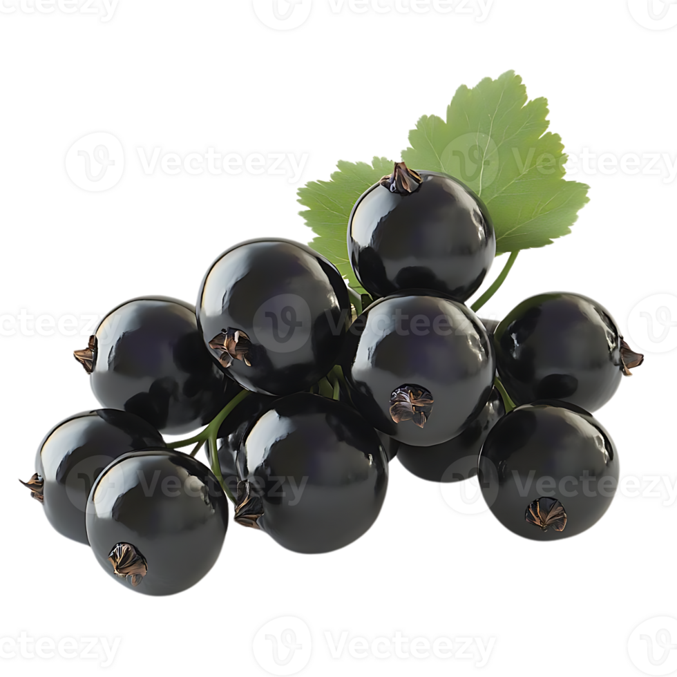 Shiny Black Currants with Green Leaf on a Transparent Background png