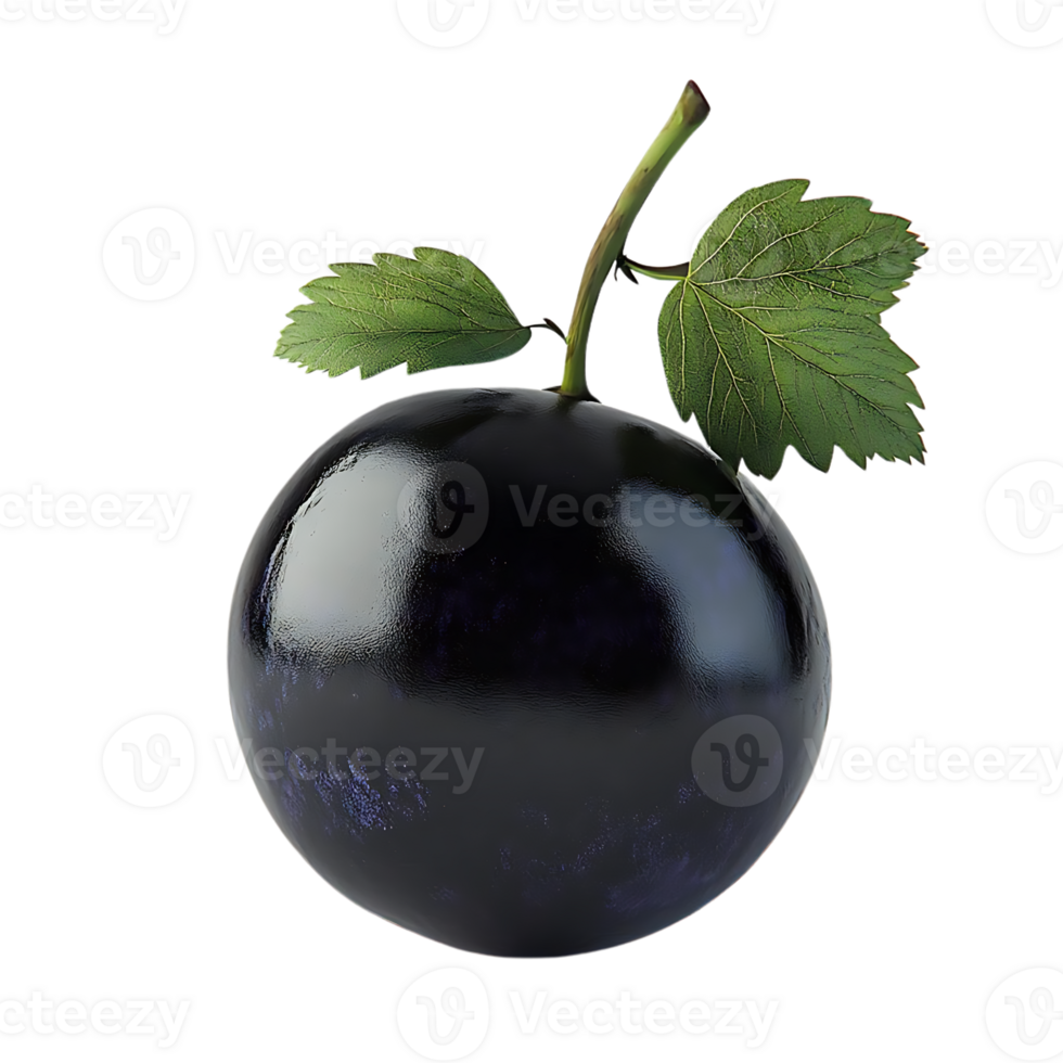 Blackcurrant with Green Leaves on a Transparent Background png