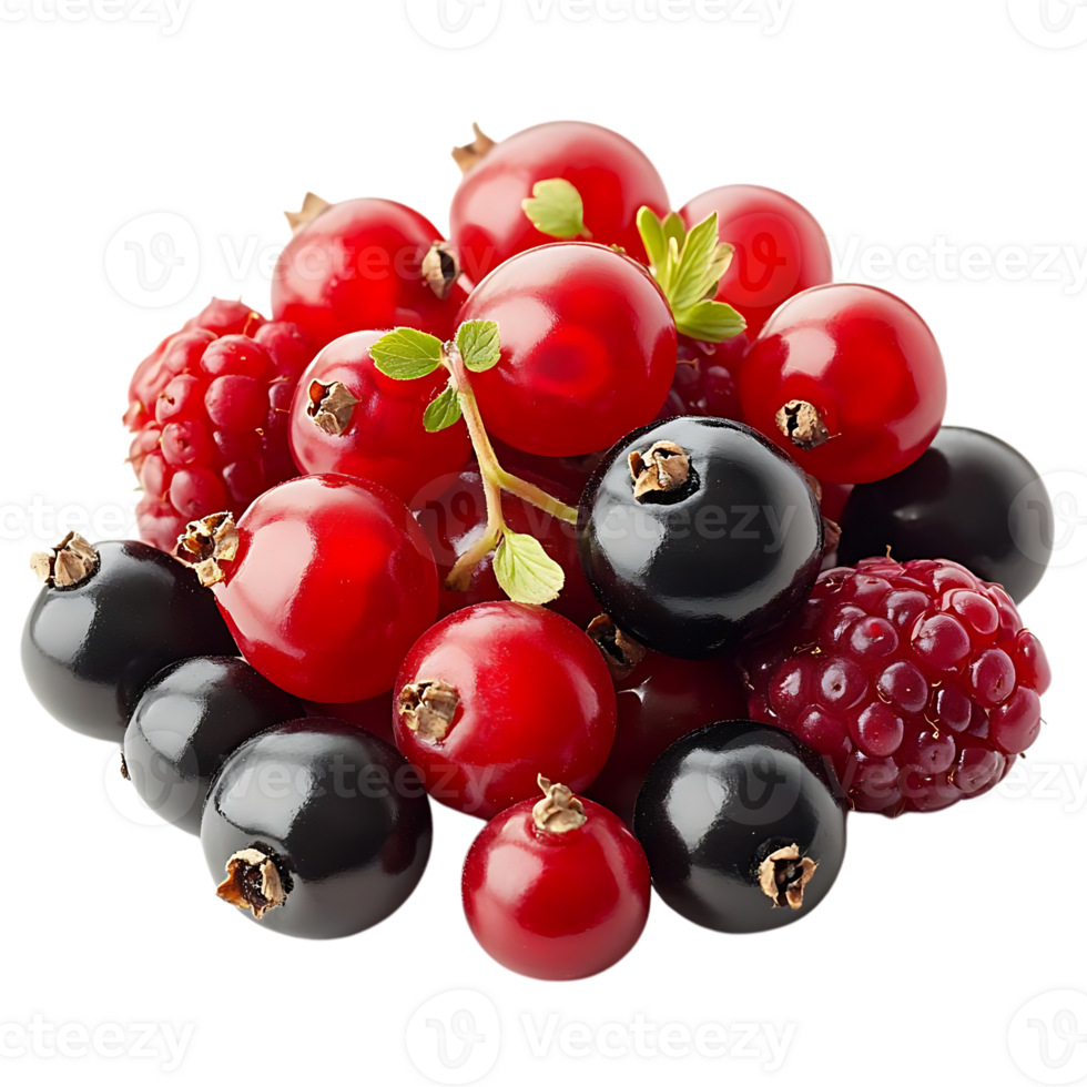 Red and Black Berries with Transparent Background png