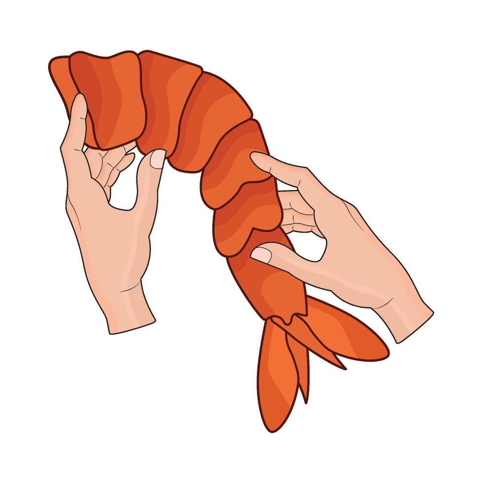 illustration of hand holding shrimp vector
