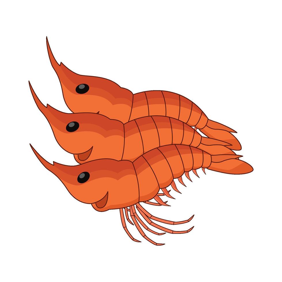 three shrimps illustration vector