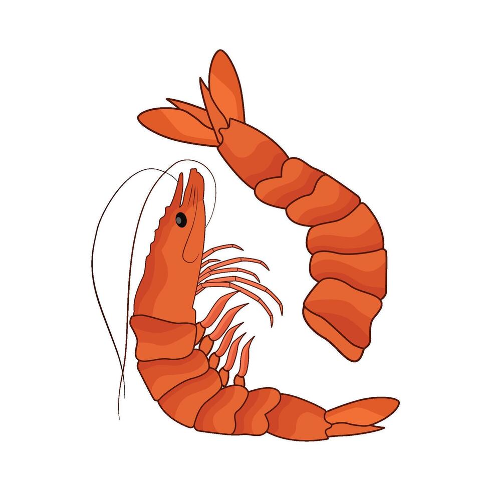 illustration of shrimp prawns vector