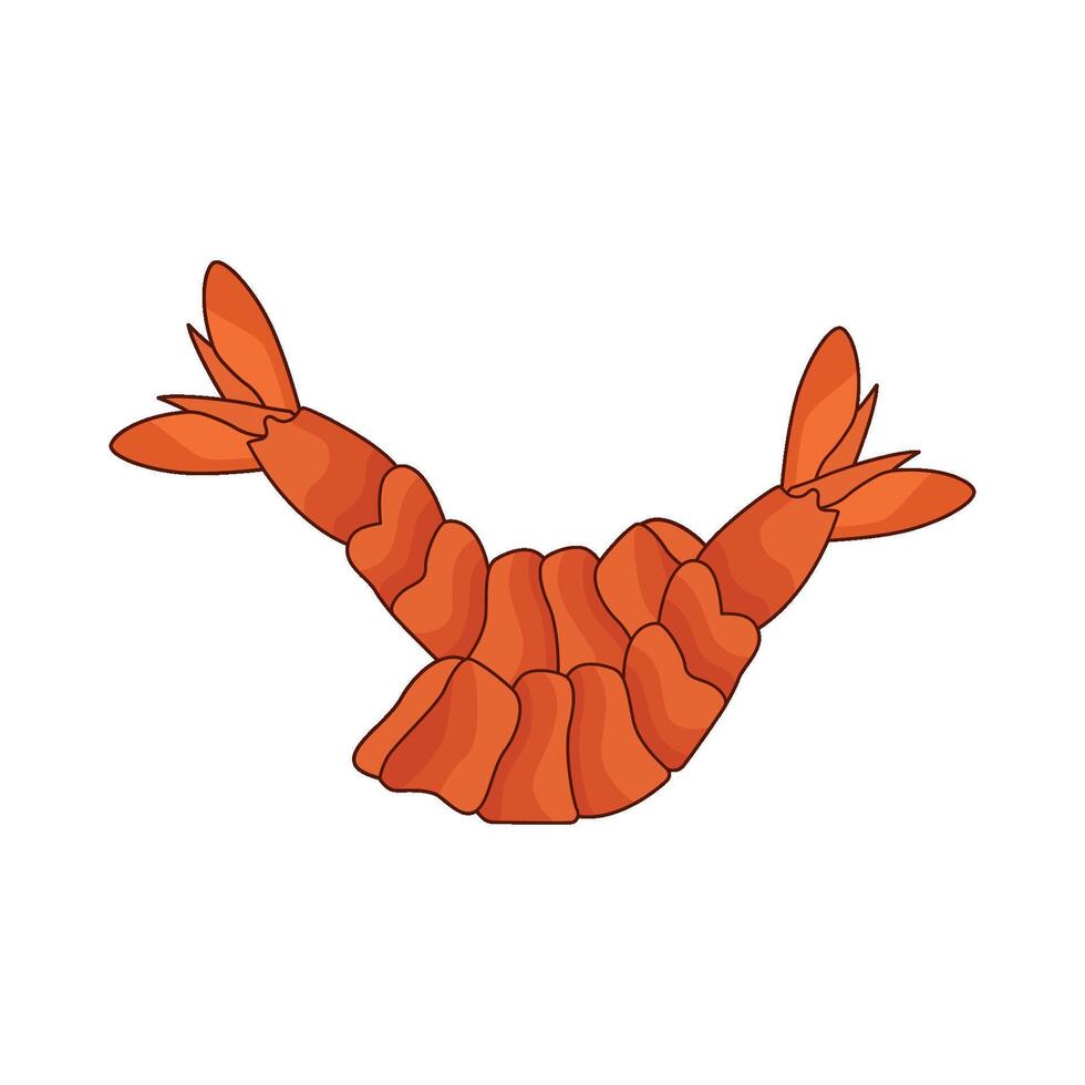 shrimp slice illustration vector