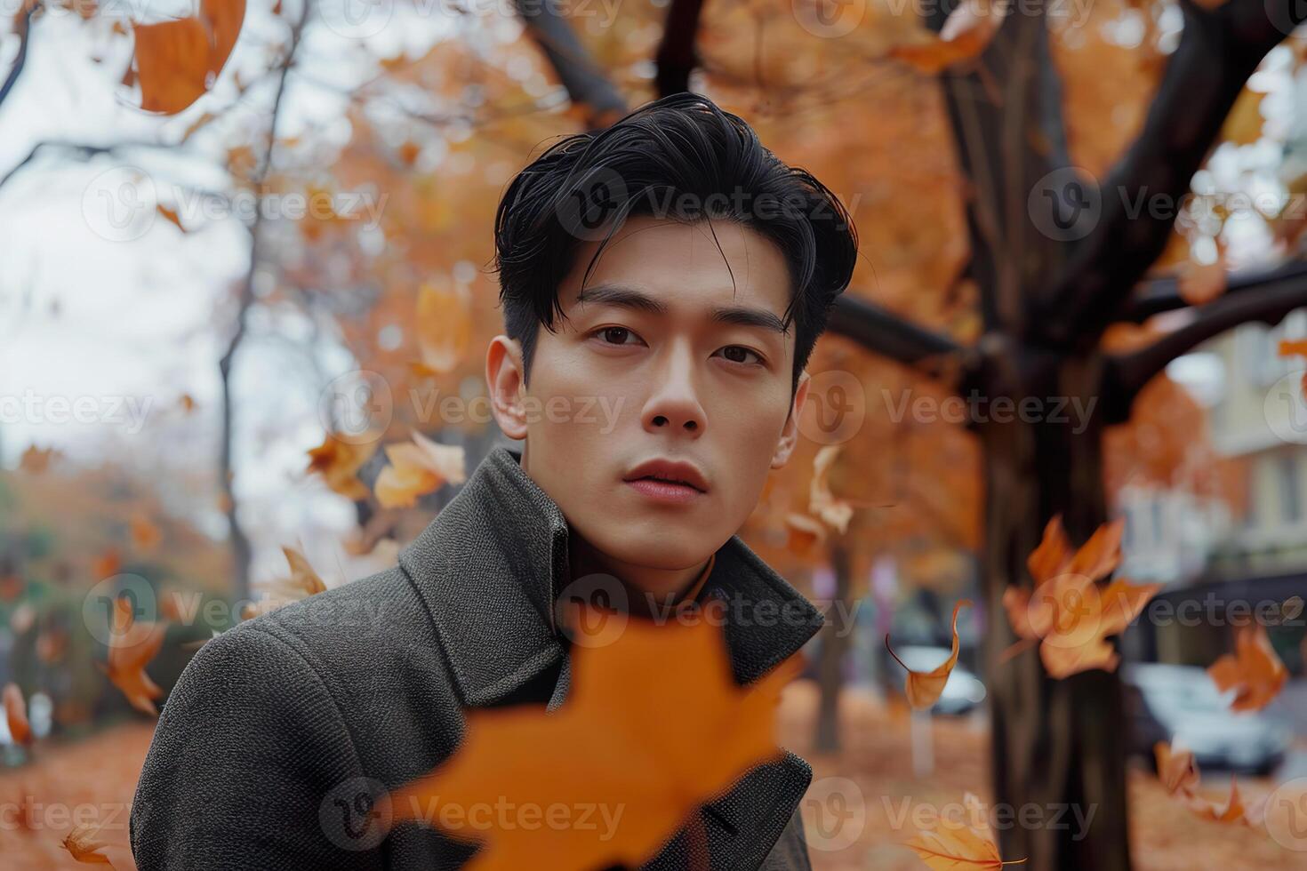 Asian male model showcases autumn fashion surrounded by vibrant fall foliage photo