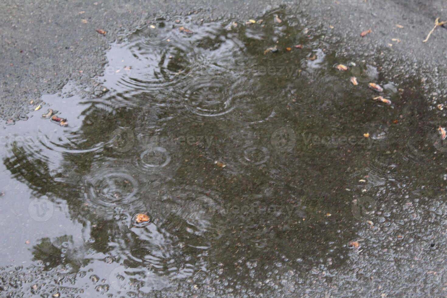 circles from raindrops puddle water during rain close-up of innacity photo