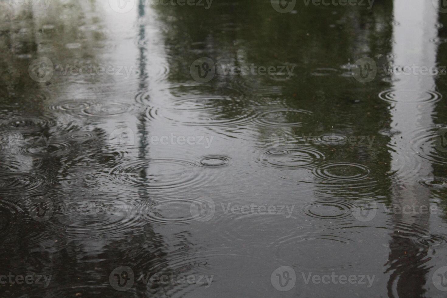 circles from raindrops puddle water during rain close-up of innacity photo