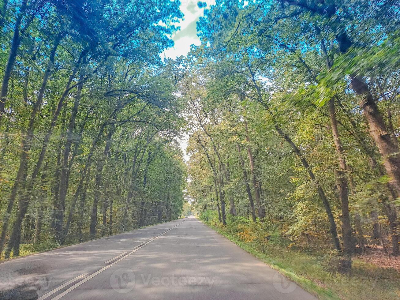 Road in forest in spring. Landscape with empty asphalt road through woods.Czech photo