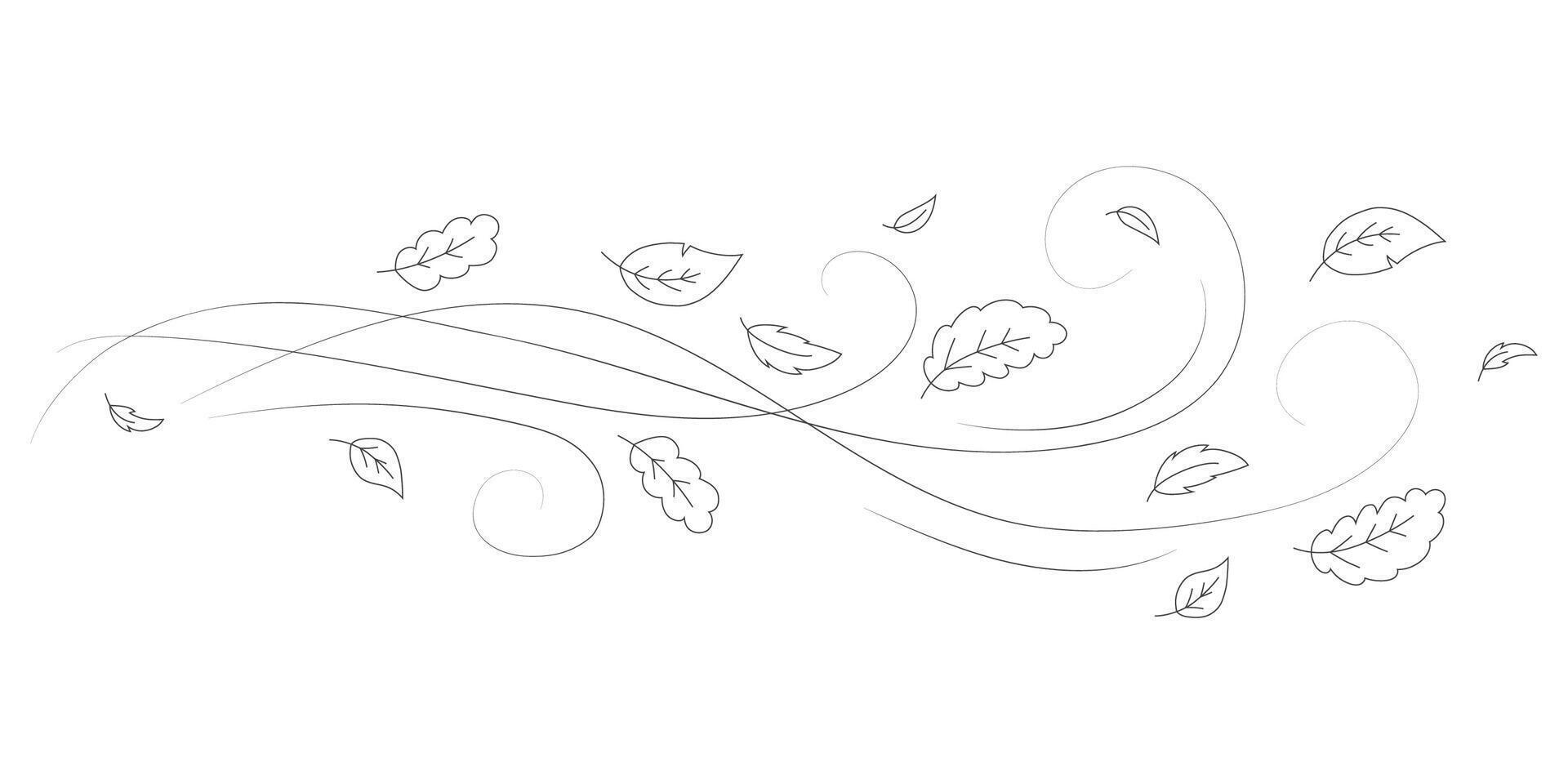 Doodle autumn leaves flying in the wind. Falling season outline backdrop, air flow leaves wave linear pattern or wind blowing doodle print. Autumn windy weather hand drawn monochrome background vector
