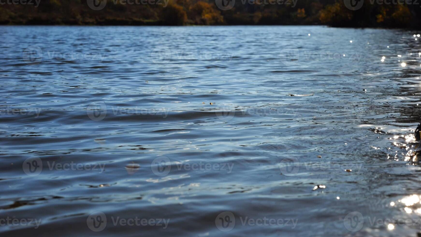 View on lake with small waves at sunny day. Calm scenery of pond at summer season. Beautiful nature landscape. Concept of tranquility scene. Slow motion photo
