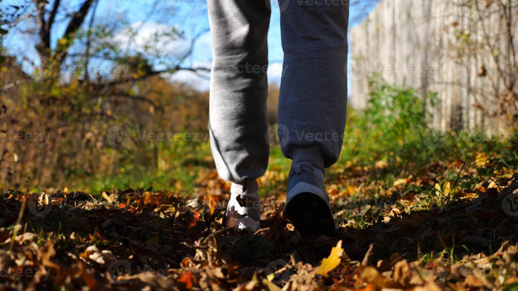 Close up to male feet in sneakers going along trail on fallen dry leaves. Legs of young man stepping along path outdoor. Guy walking at nature sunny autumn day. Low view Slow mo photo