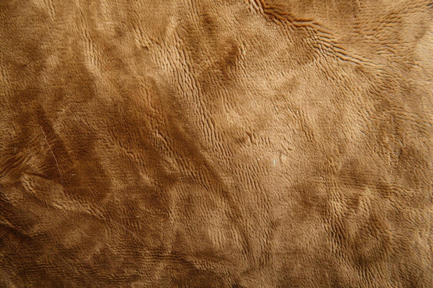 A rich, brown suede texture creates a warm and luxurious backdrop photo