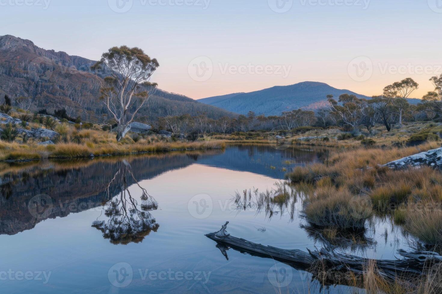 Serene Lake Reflections at Sunrise photo