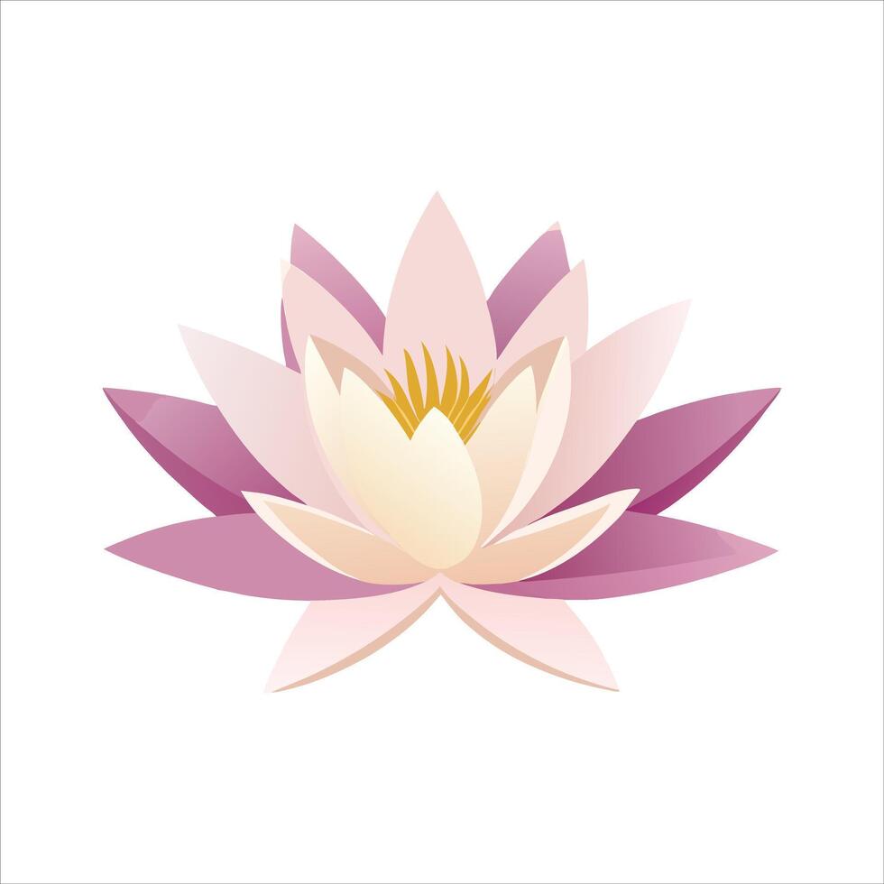 a pink lotus flower on a white background vector