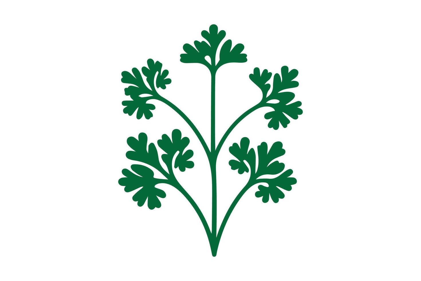 A green plant with leaves on it vector