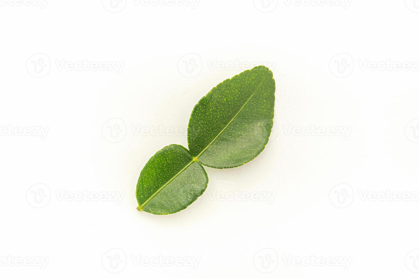 Fresh green leaf bergamot isolated on white background. Close-up photo. Healthy foods concept photo
