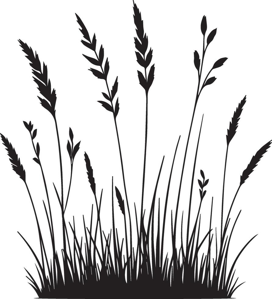 grass silhouettes art illustration vector