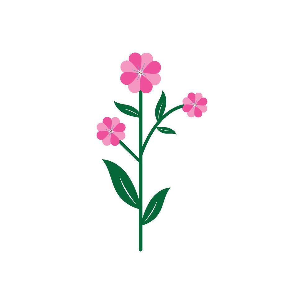 Florist botanical pink flower vector