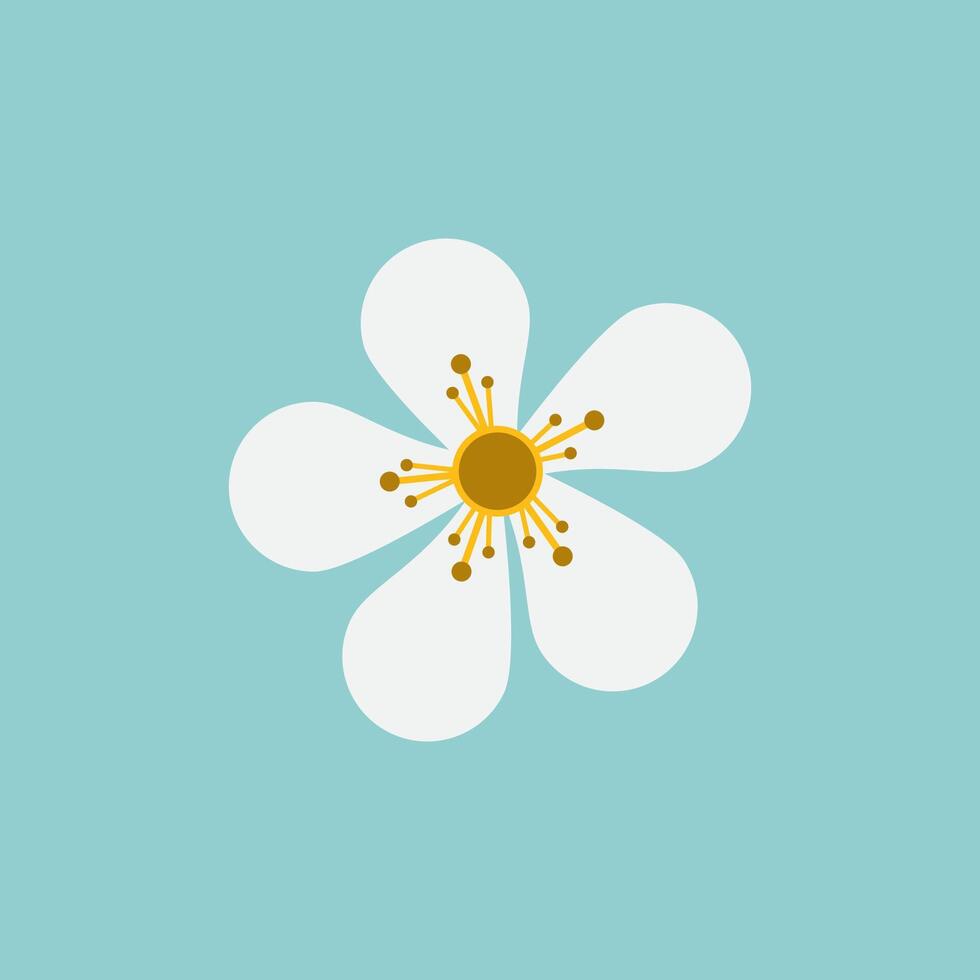 Plumeria flower icon vector