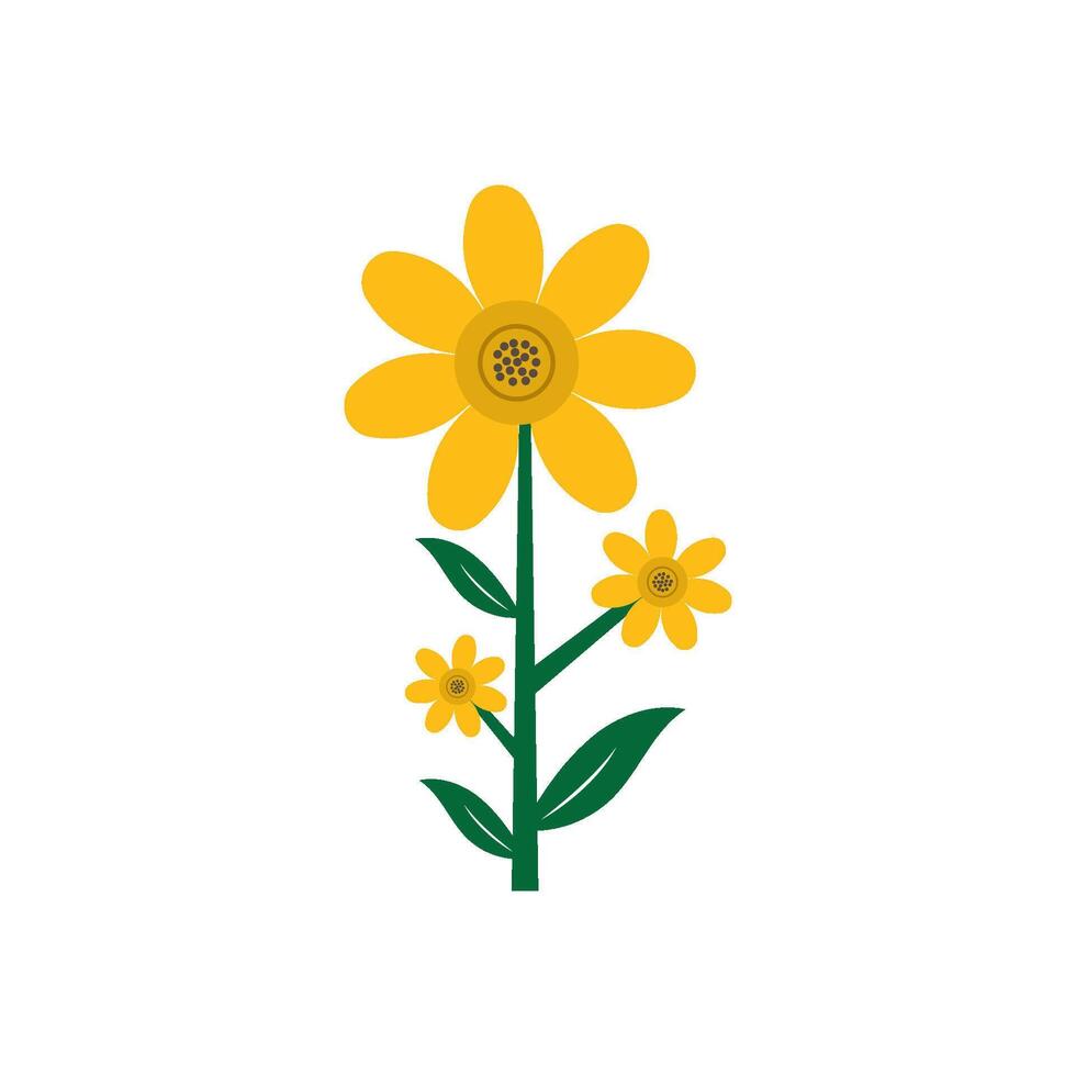 Beauty Florist botanical yellow flower vector