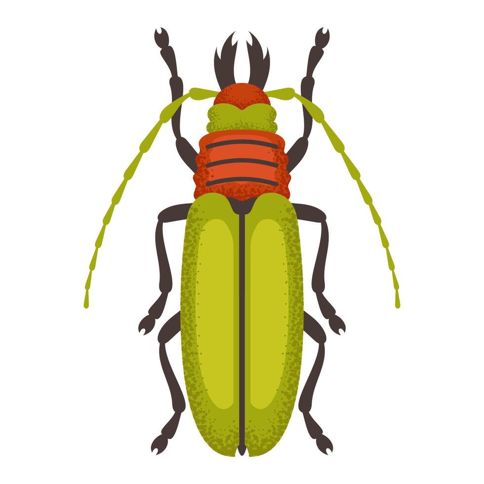 Green and orange bug vector