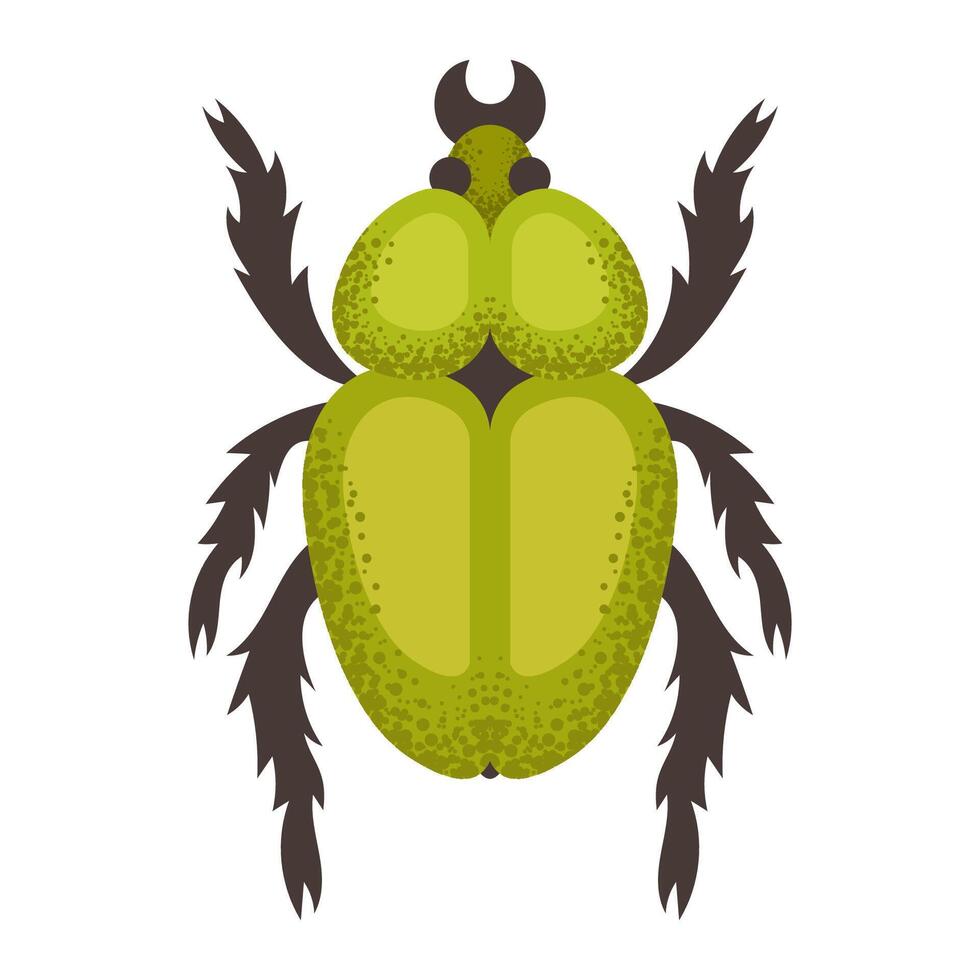 Green bug, beetle vector
