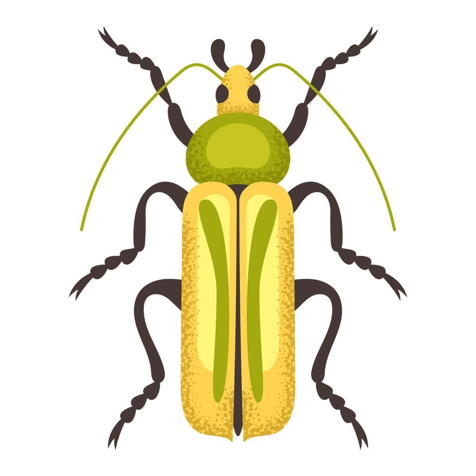 Yellow and green beetle vector