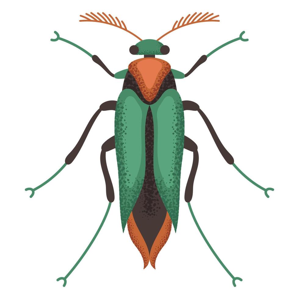 Grasshopper green beetle vector