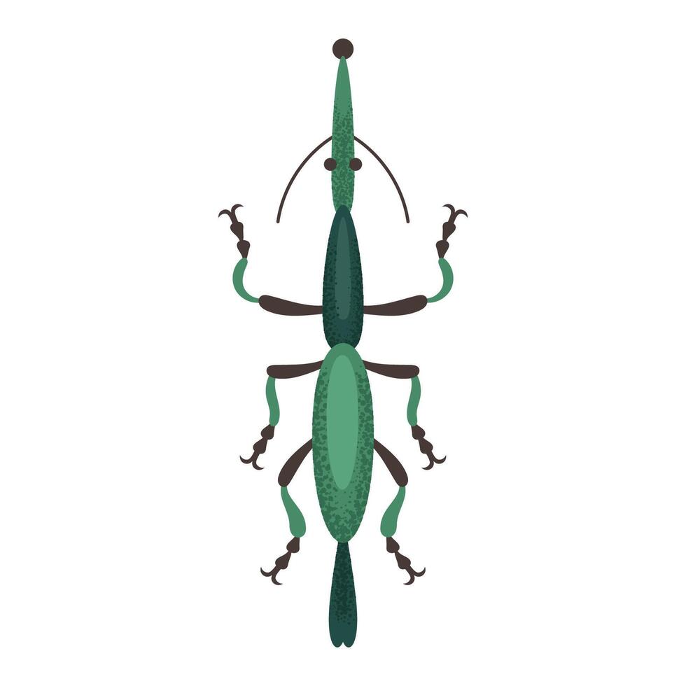 Thin green beetle vector
