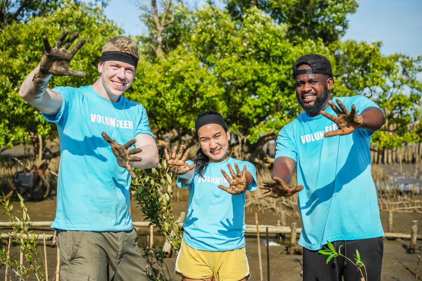 Group of volunteer showing hands soiled in mud sign smiling look at camera helpers planting trees in mangrove forest for environmental protection and ecology, reduce global warming, Charity work photo