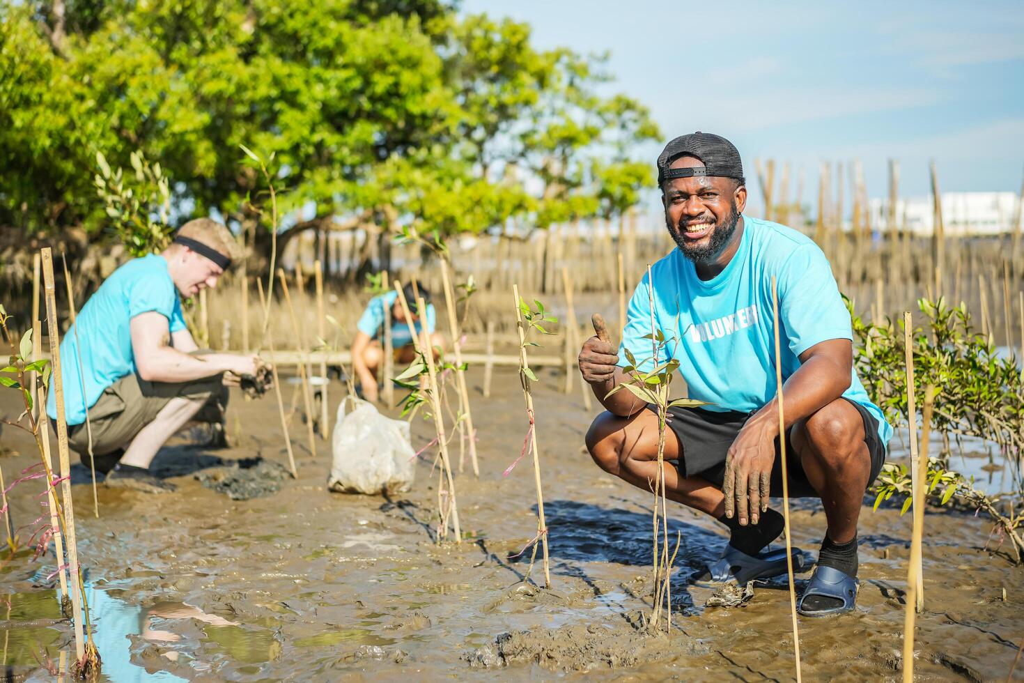 African American men volunteer helpers planting trees in mangrove forest for environmental protection and ecology, reduce global warming, Charity work photo