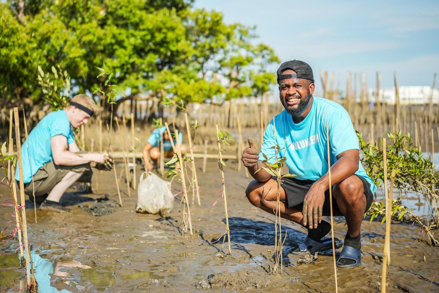 African American men volunteer helpers planting trees in mangrove forest for environmental protection and ecology, reduce global warming, Charity work photo