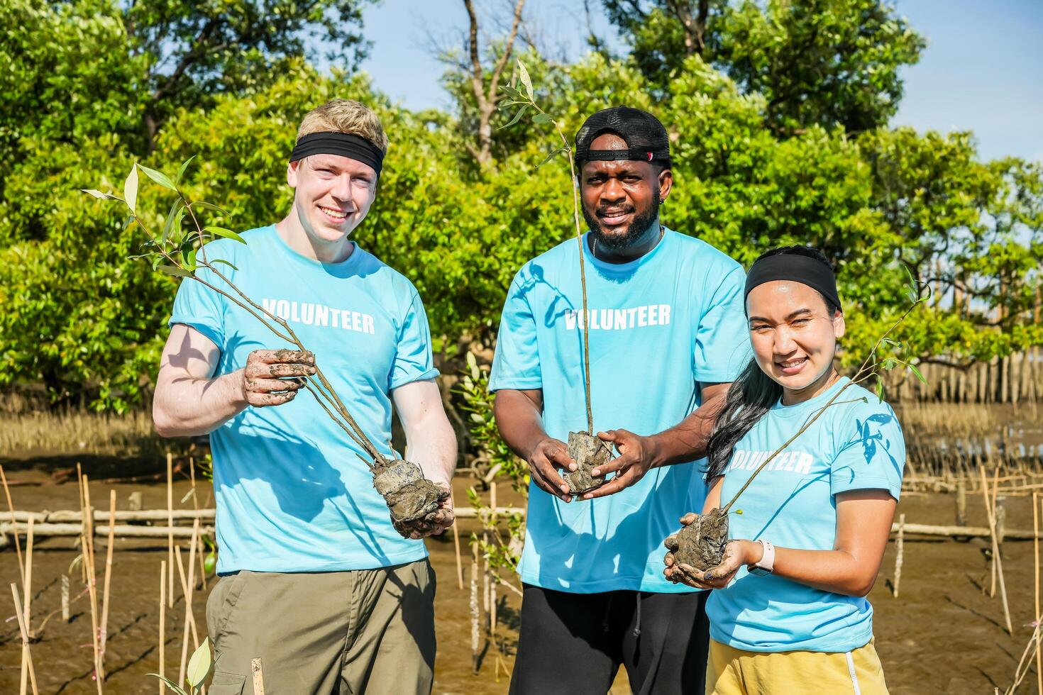 Group of happy volunteers with tree seedlings, Volunteer helpers planting trees in mangrove forest for environmental protection and ecology, reduce global warming, Charity work photo