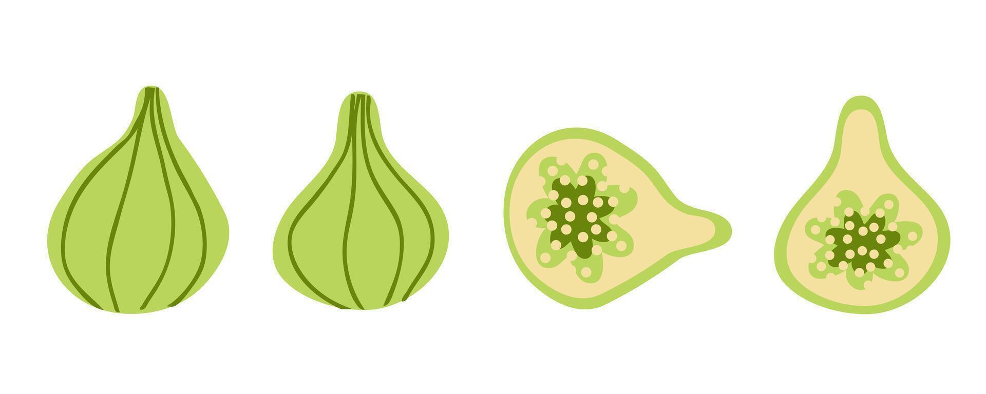 Minimalist style green fig clipart collection. Perfect art for stickers, poster, label, sale, card. Hand drawn illustration for decor and design. vector