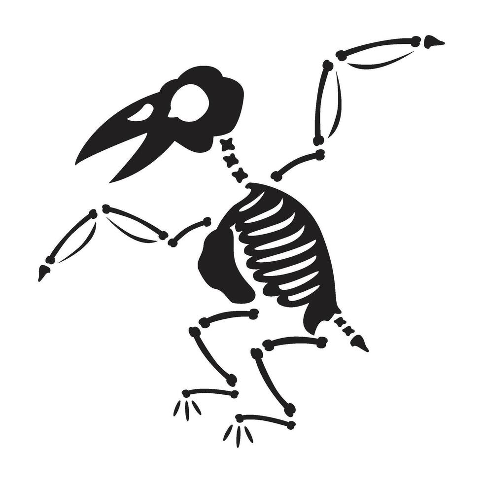 Decayed Flying Raven Dried Skeleton Bones vector