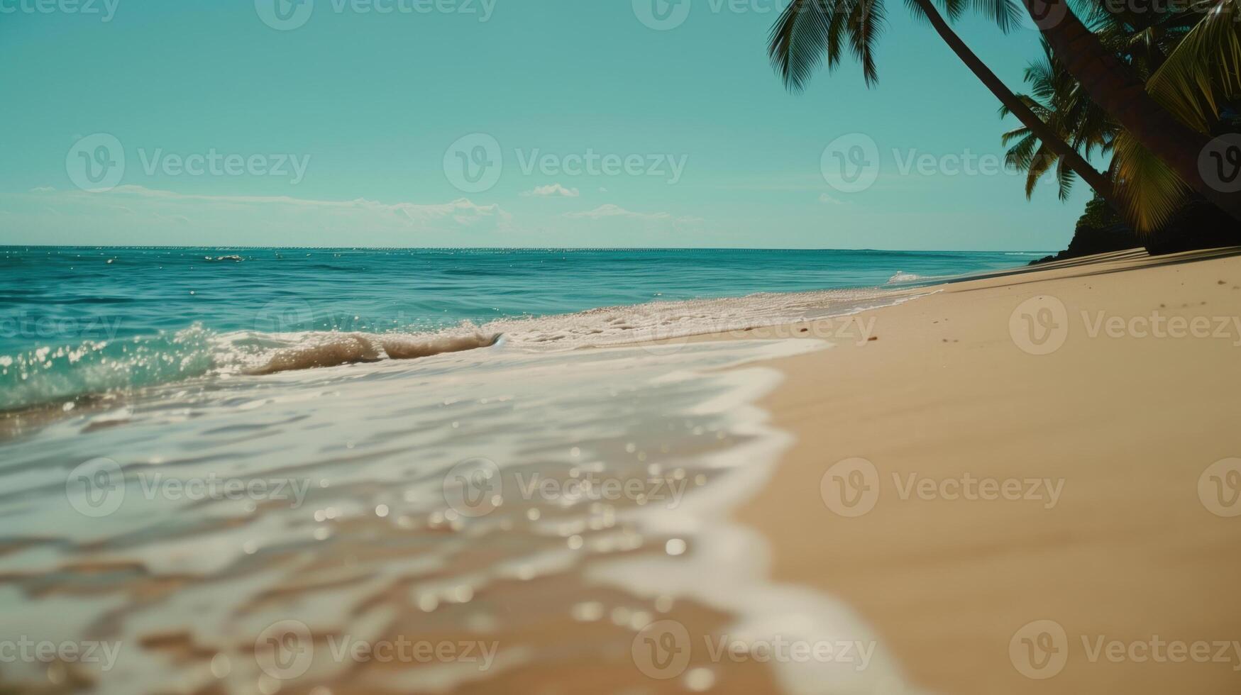 Beach of a tropical island. Paradise place on the planet. Coast of a sea or ocean. photo