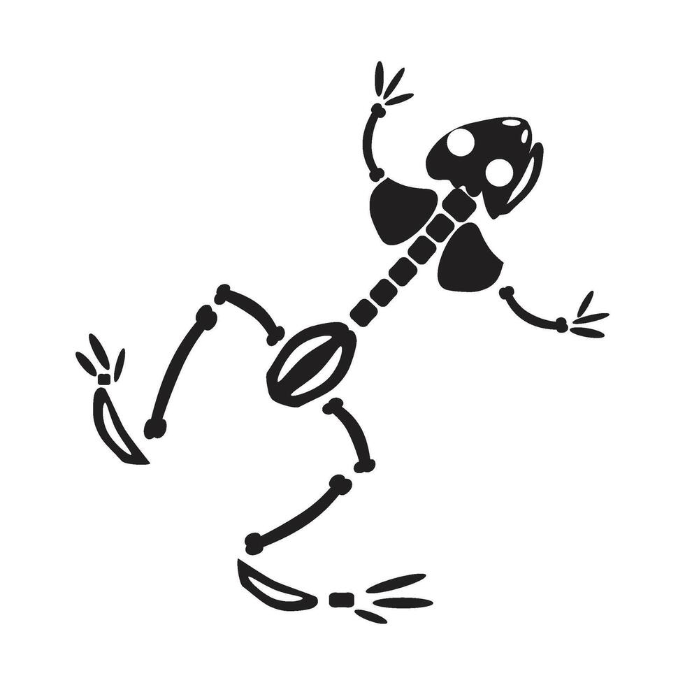 Decayed Jumping Frog Dried Skeleton Bones vector