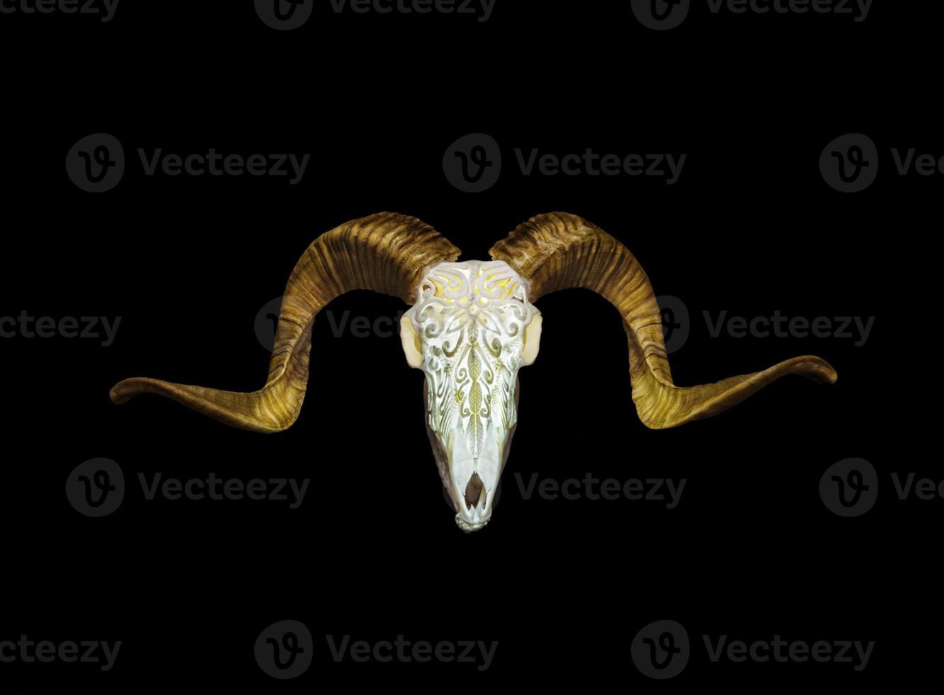 Ram skull with horns. A pattern carved into the skull of an animal. Isolate on a black back photo