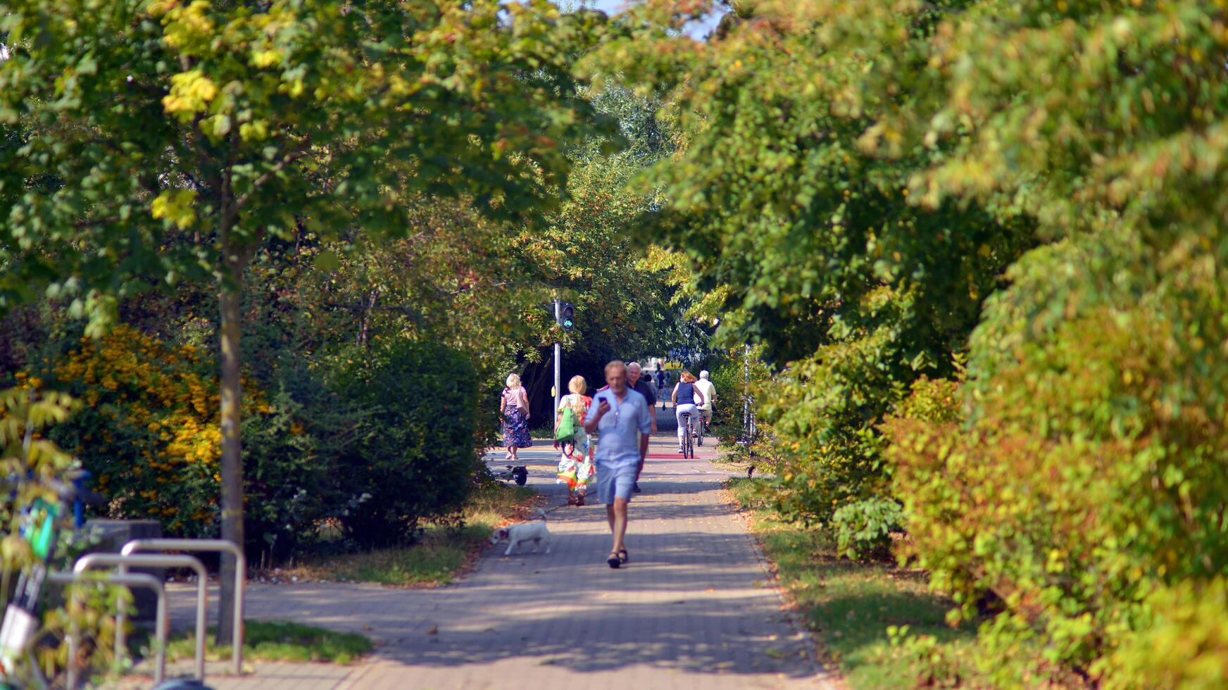 Warsaw, Poland. 24 August 2024. Residents walking in the park in Ursynow photo