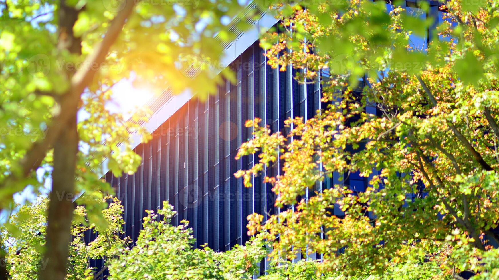City life, urban landscape and ecology. Modern office complex with glass facades and smooth lines against backdrop of green trees, concept of modern architecture. Organically building into nature. photo
