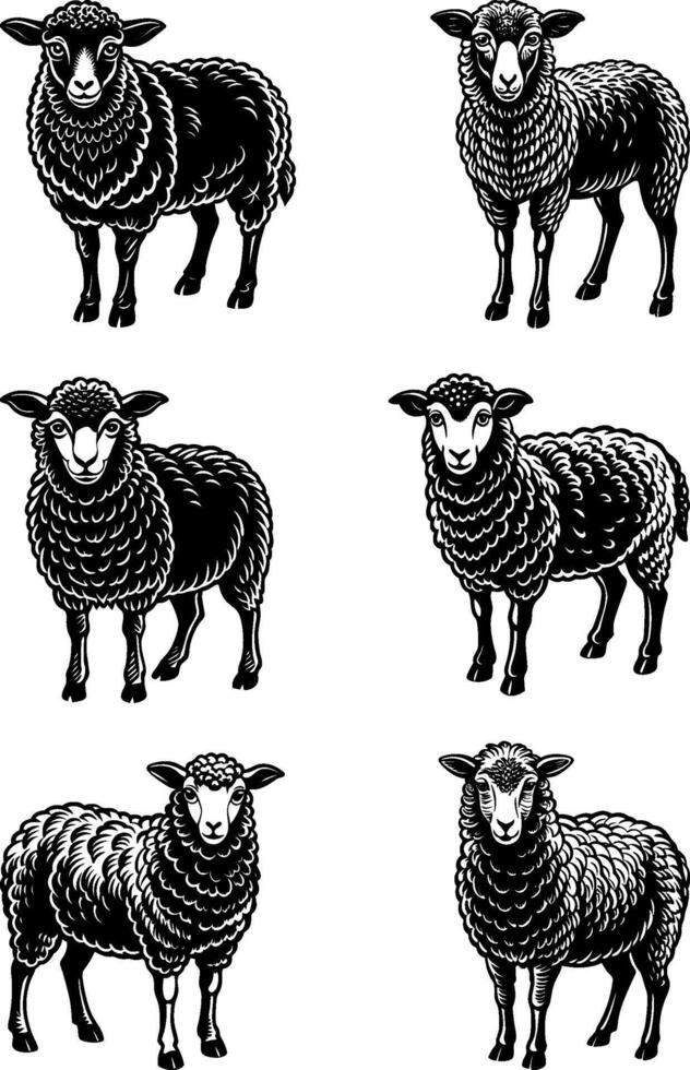 sheep silhouette set vector