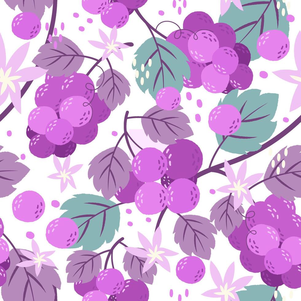 seamless pattern of grape vector