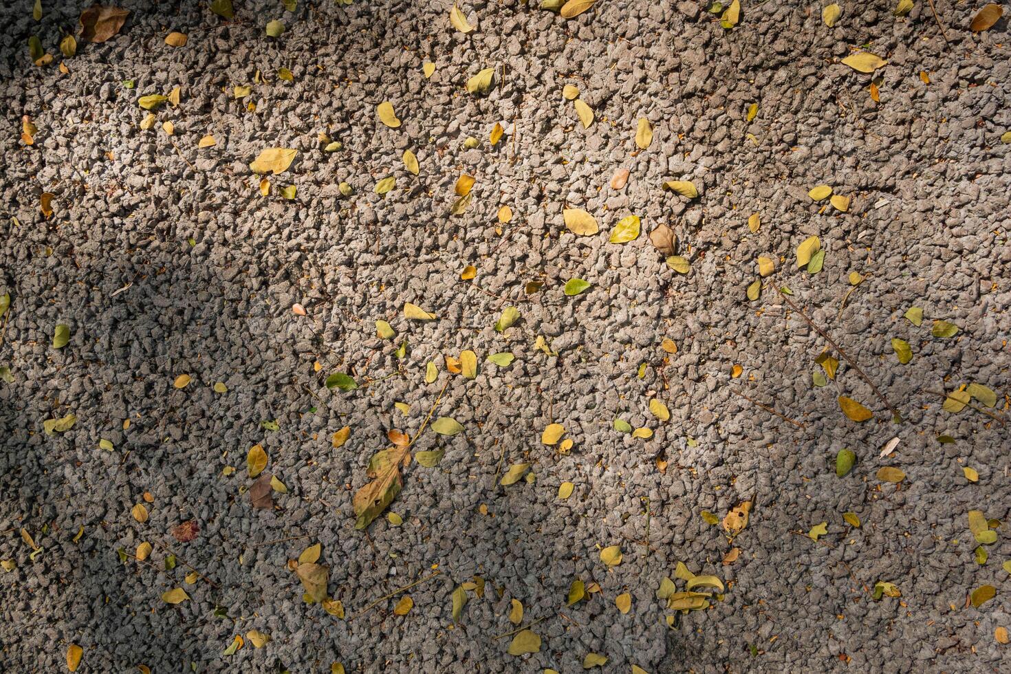 Light grey color small stones on ground surface with yellow fallen leaves texture top view photo